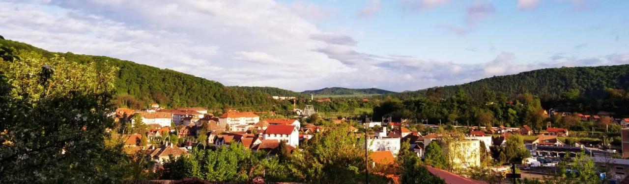 Pensiunea Lelila Inn Sighişoara Esterno foto