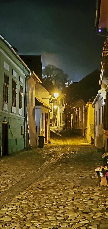 Pensiunea Lelila Inn Sighişoara Esterno foto