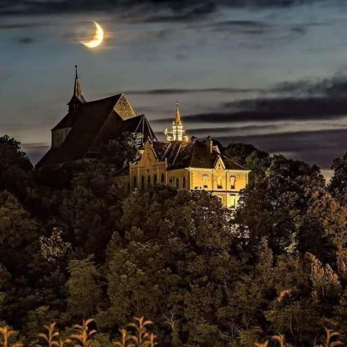 Pensiunea Lelila Inn Sighişoara Esterno foto