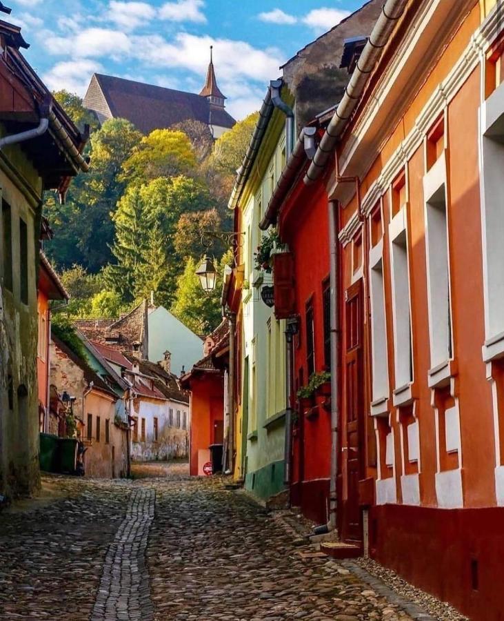 Pensiunea Lelila Inn Sighişoara Esterno foto