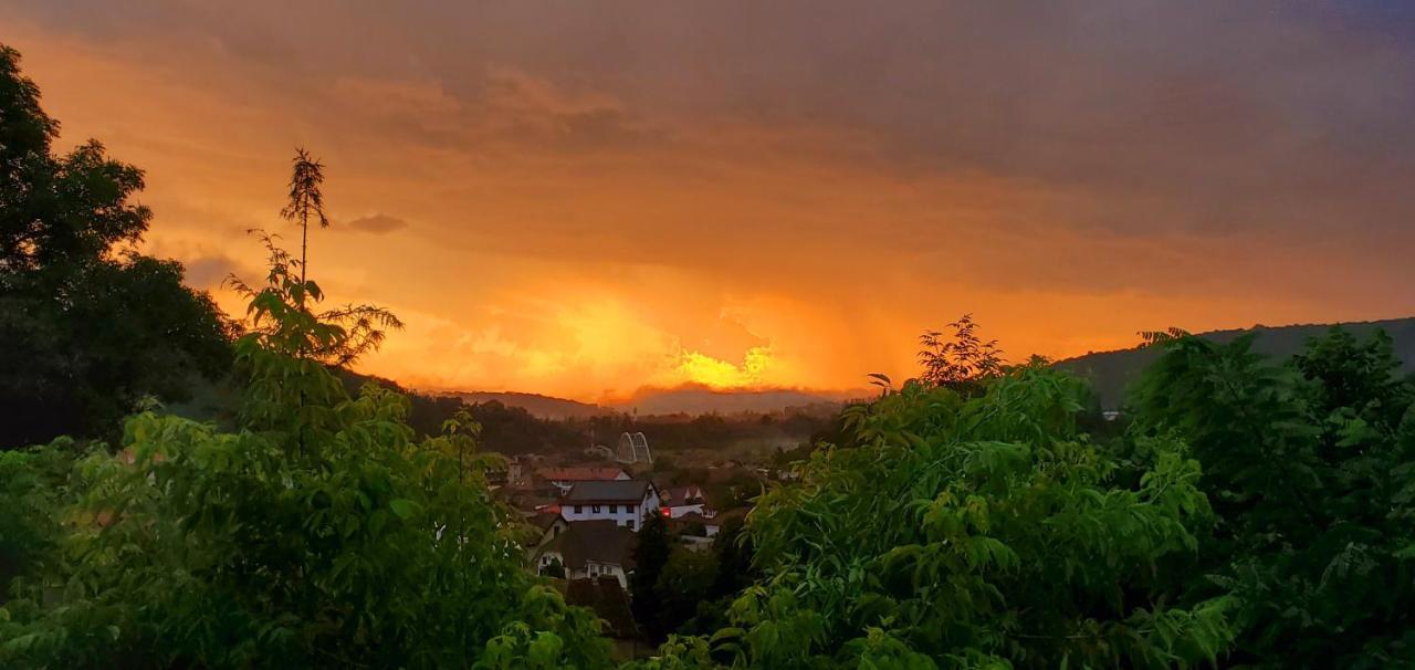 Pensiunea Lelila Inn Sighişoara Esterno foto
