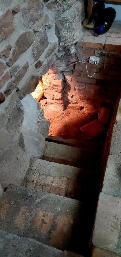Pensiunea Lelila Inn Sighişoara Esterno foto