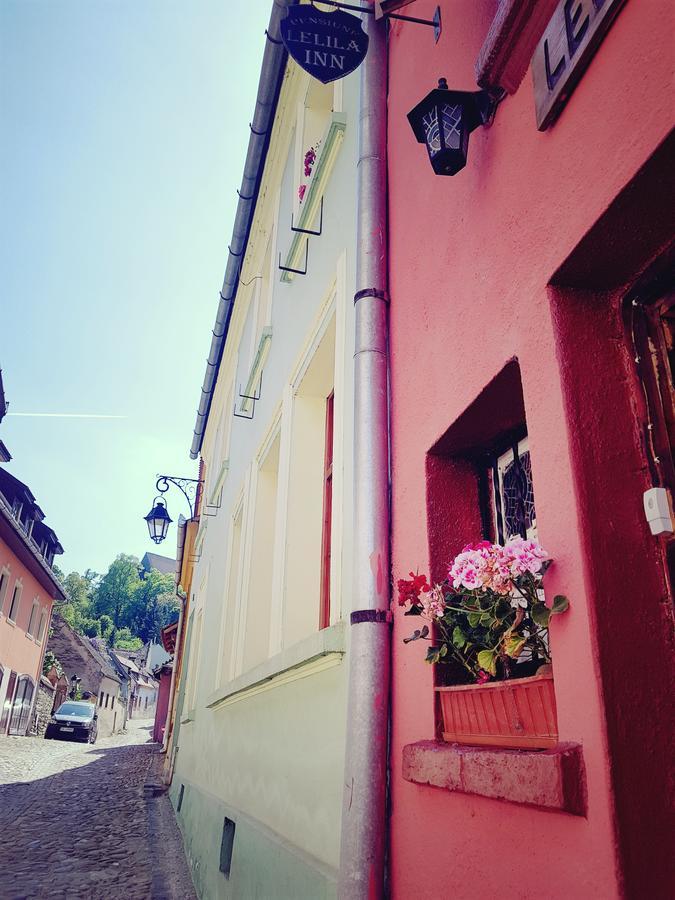 Pensiunea Lelila Inn Sighişoara Esterno foto