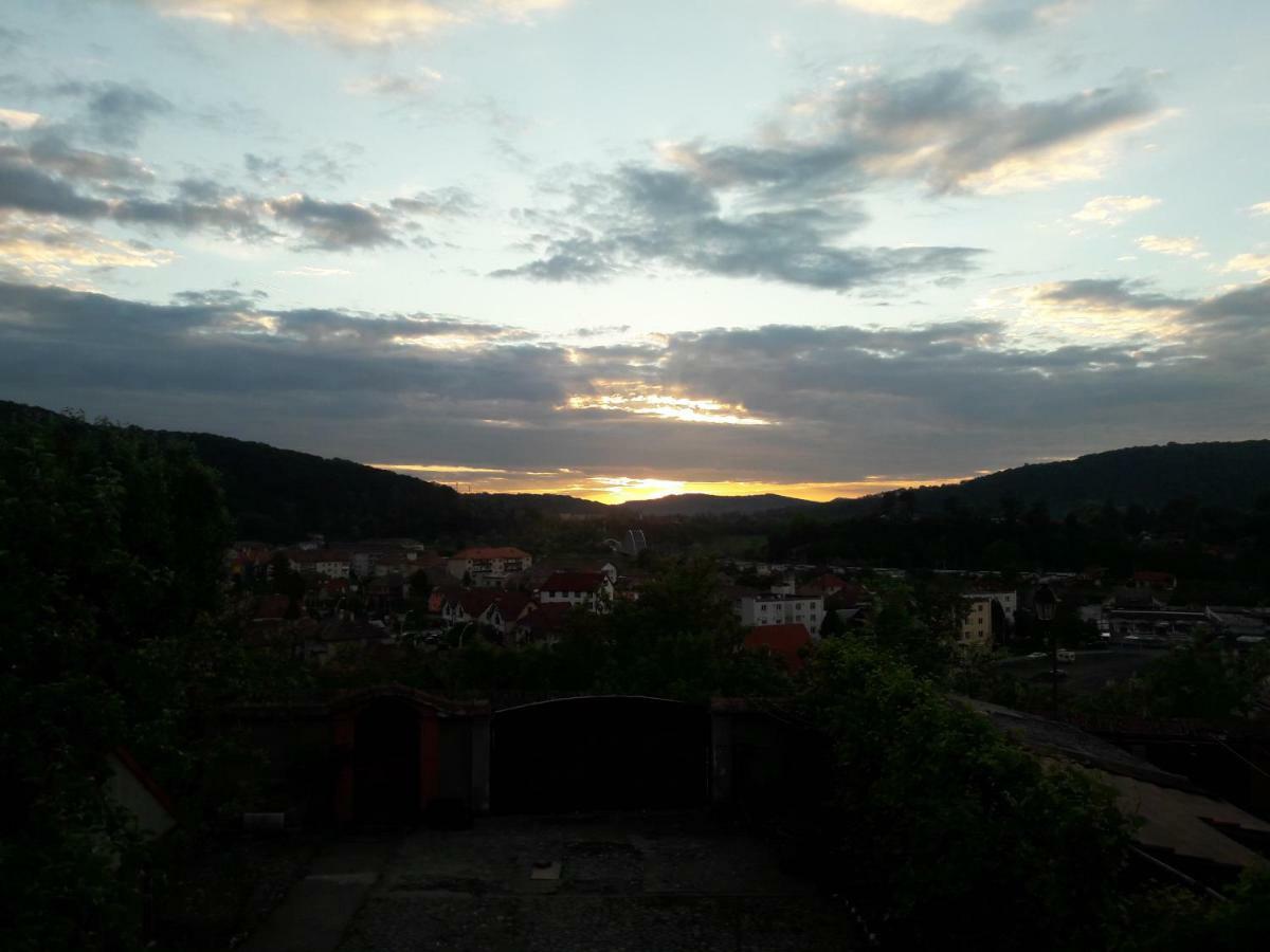 Pensiunea Lelila Inn Sighişoara Esterno foto